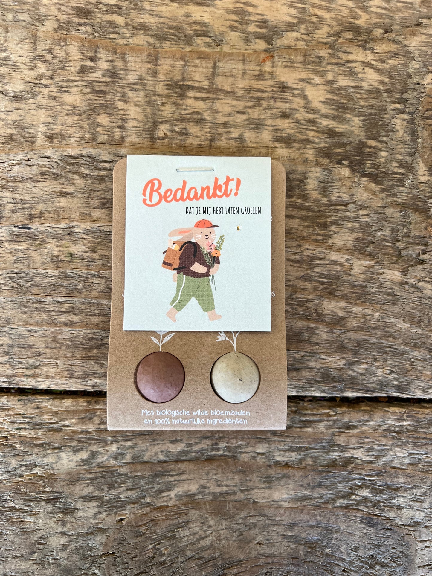 Blossombs leraar konijn mini