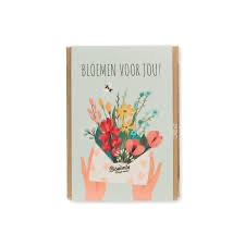 Blossombs mini bloemen voor jou