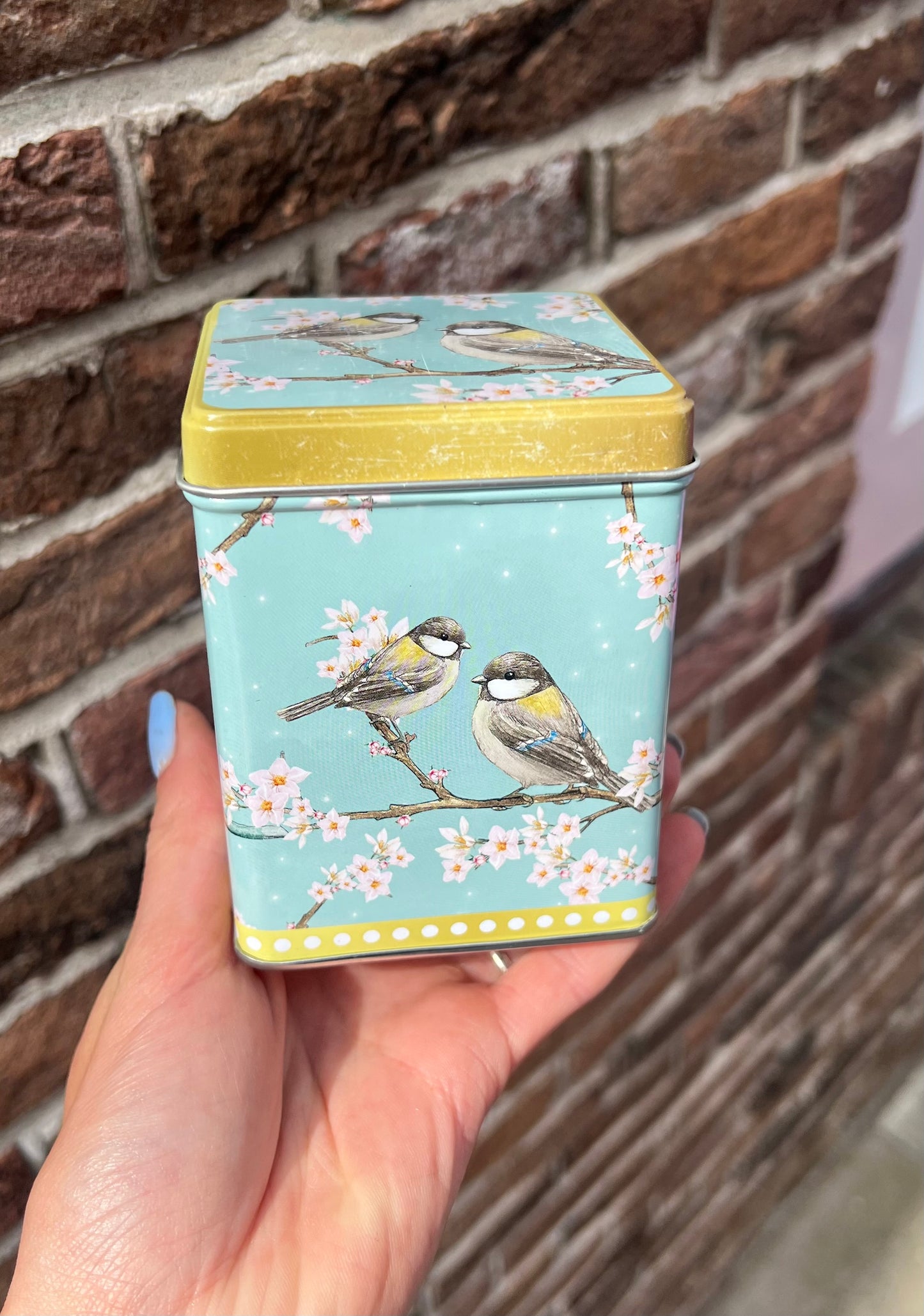 Thee blikje 2 vogels