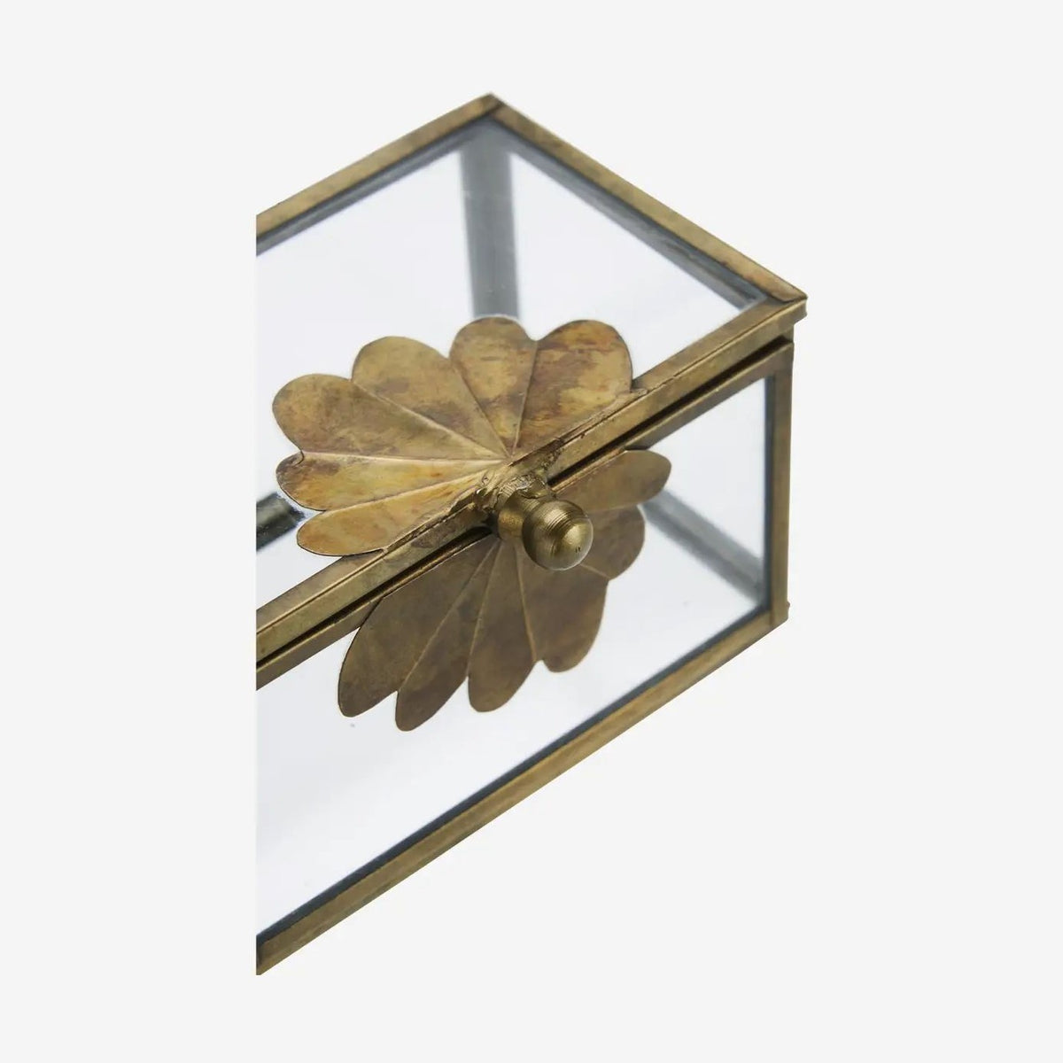Madam stoltz glass box w brass leaf