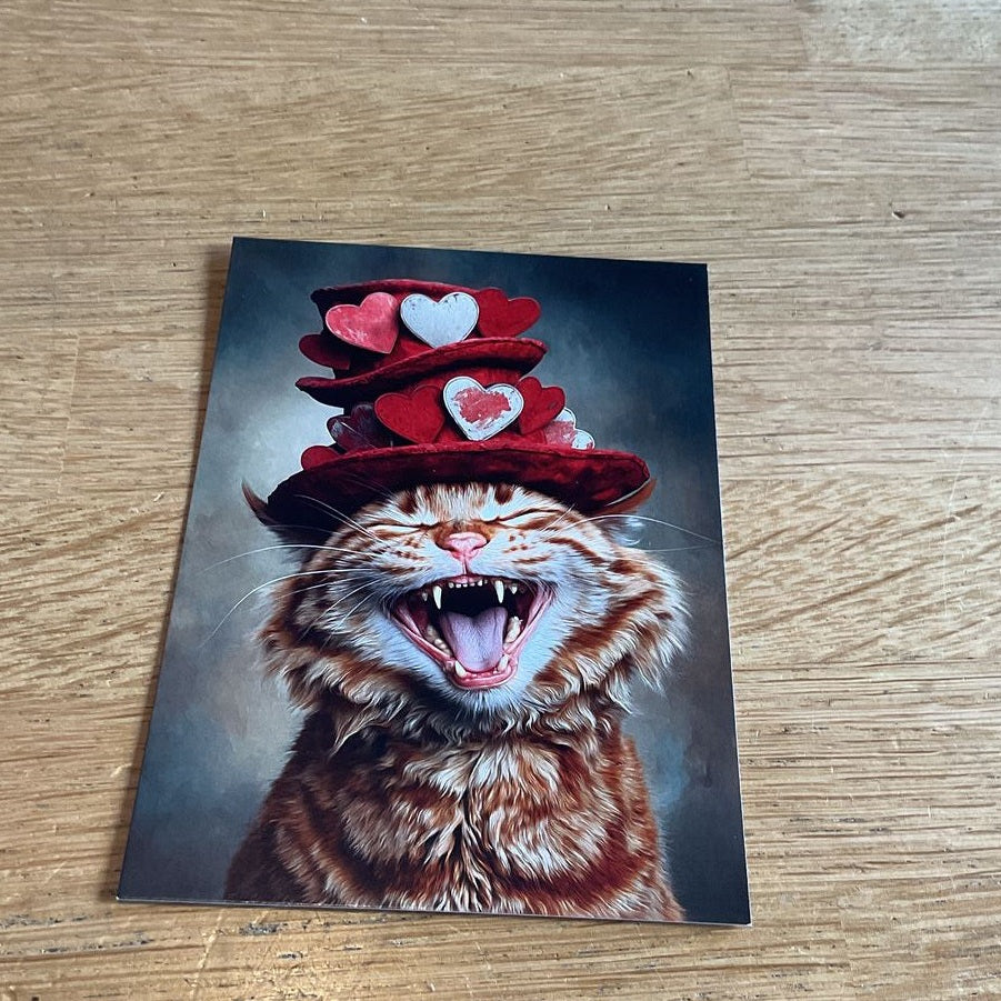 Jolly wrinkles hartjeshoed kat