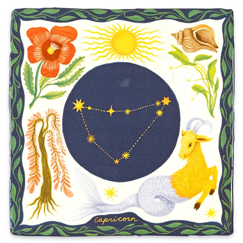 Storytiles Capricorn S