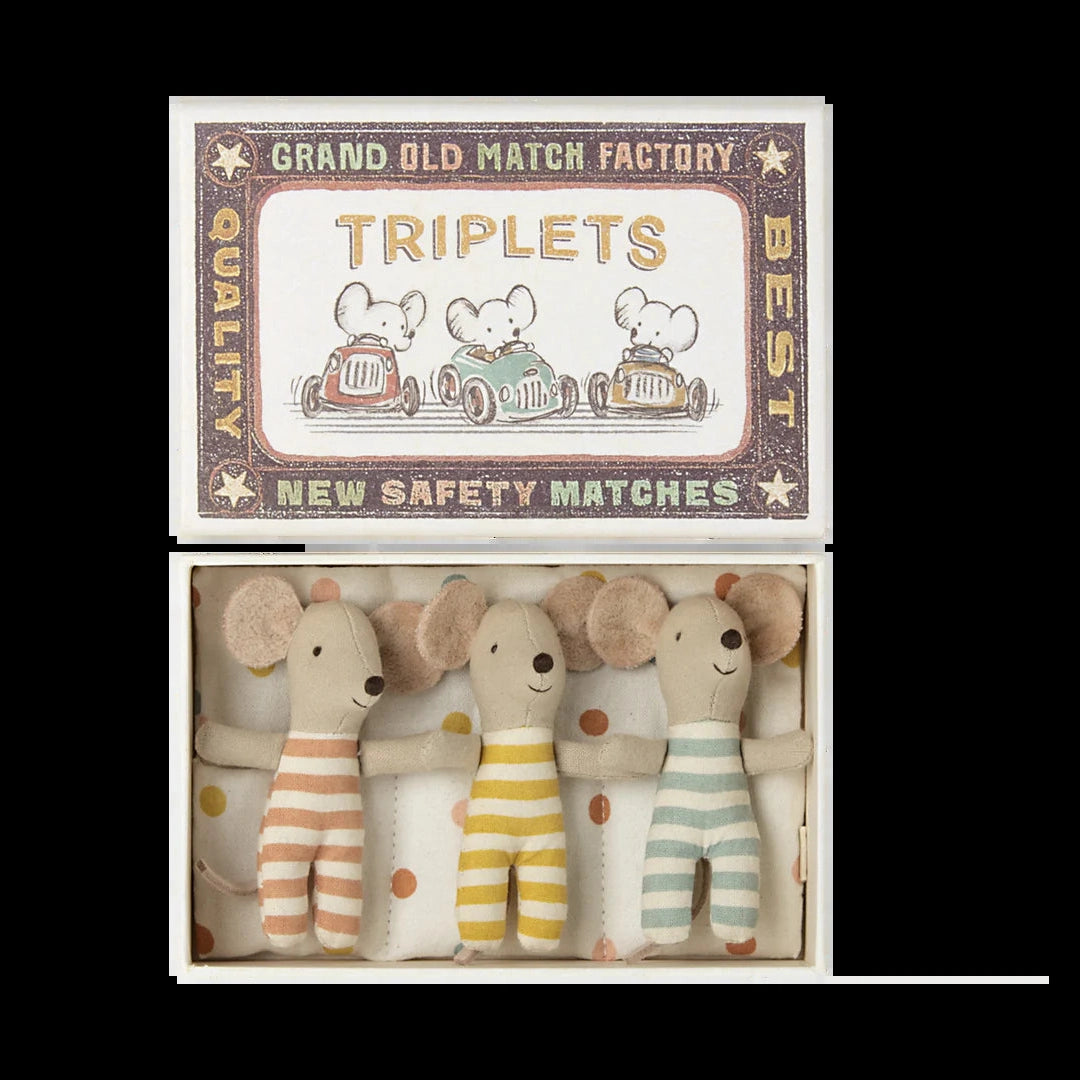 Triplets baby mice in matchbox