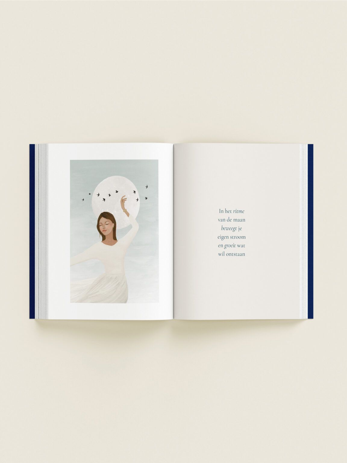 Salt + Flor Inner tide journal