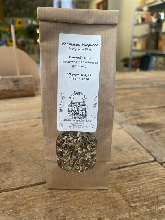 Echinacea Purpurea
