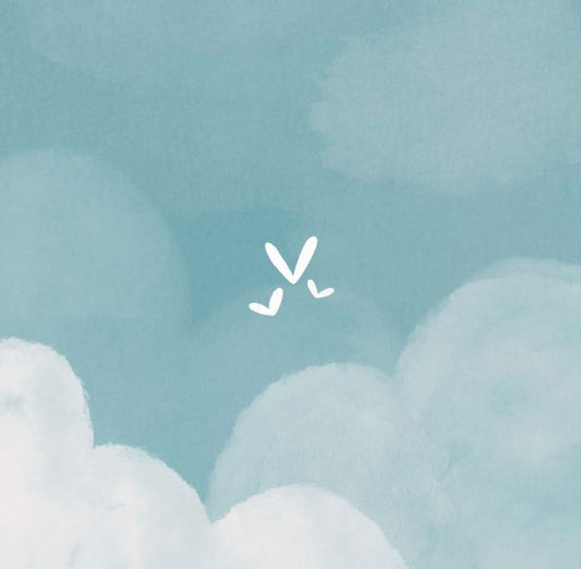 Studio noorderlicht 009