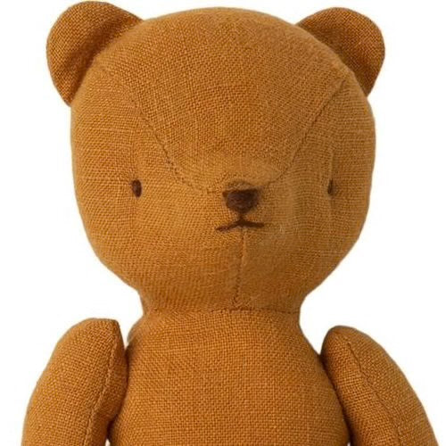 Teddy mom with raincoat