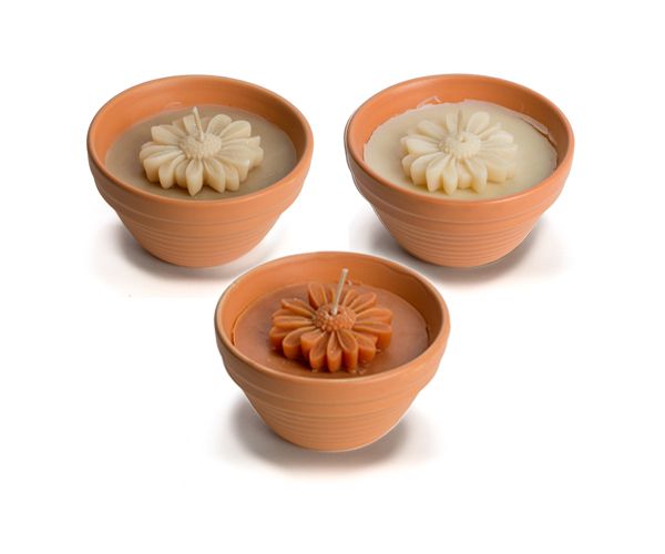 Rustik lys flower bowls marigold indoor 1st