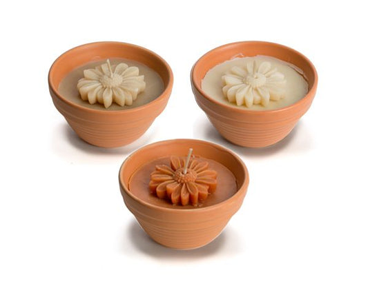 Rustik lys flower bowls marigold indoor 1st