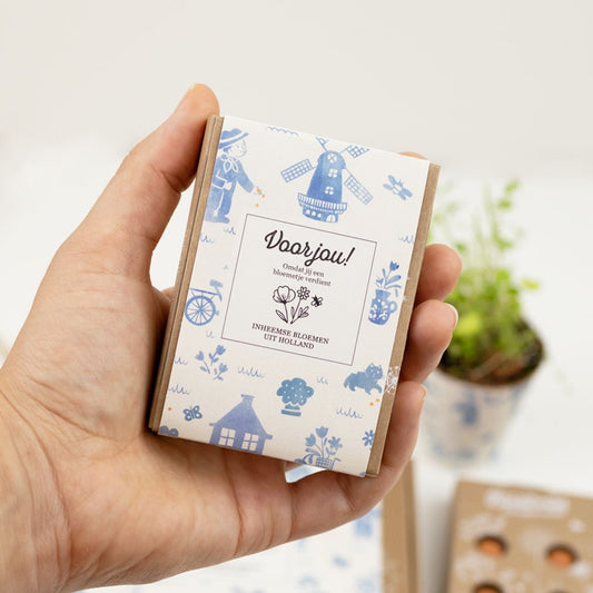 Blossombs mini voor jou holland mix