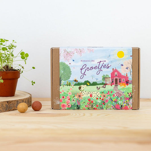 Blossombs box small pink house
