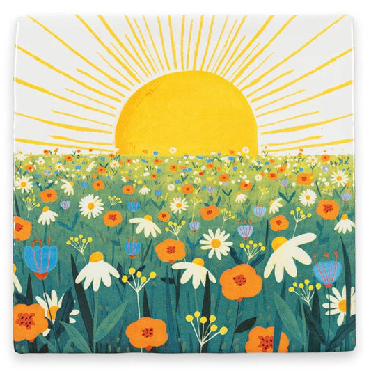 The sun Will shine on you S