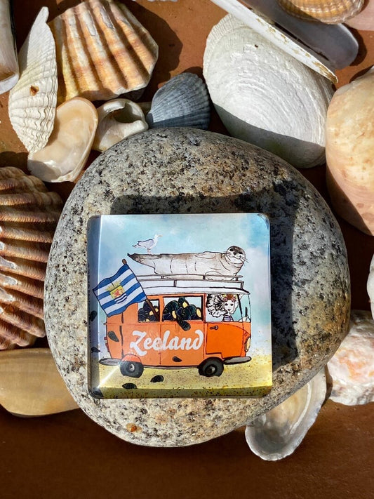 Petit Magneet Bus Mosselen Zeehond