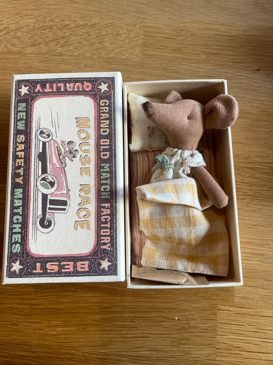 Big sister Brown in box