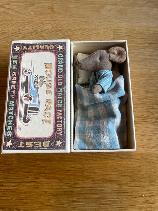 Big brother Brown in box