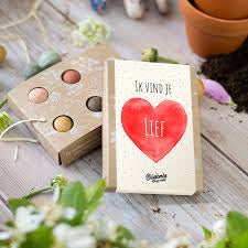 Blossombs Mini Liefde Hart