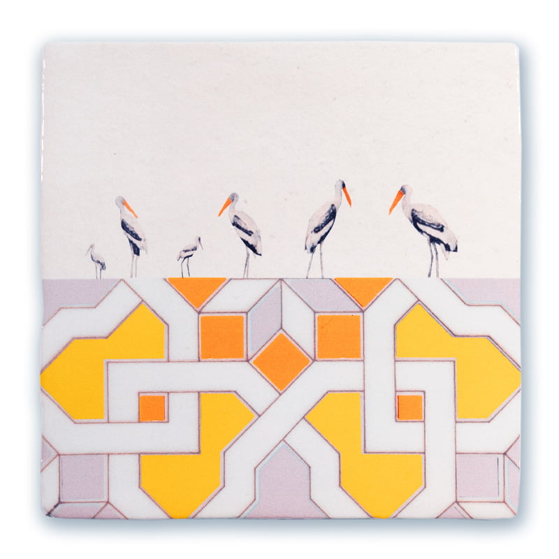 Birds meeting S