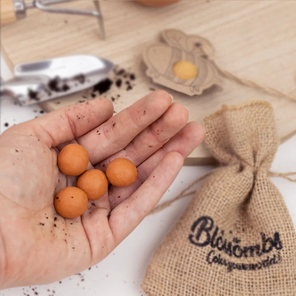 Blossombs mini voor jou holland mix