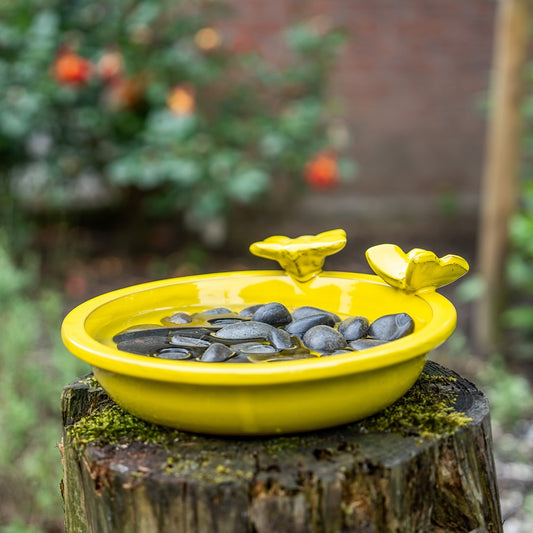 Bijen En Vlinderbad Rond